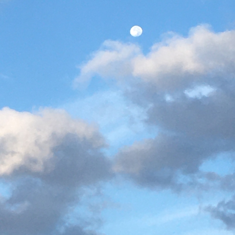 Meet your Posher, Alina